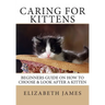 Caring for Kittens: Beginners Guide on How to look after a Kitten