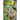 The Elusive Baboon: A Ugandan Odyssey