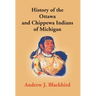 History Of The Ottawa And Chippewa Indians Of Michigan: A Grammar Of Their Language, And Personal And Family History Of The Author