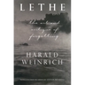 Lethe: The Art and Critique of Forgetting