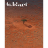 Cabinet 63: The Desert