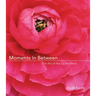 Moments in Between: The Art of the Quiet Mind (Daily Meditations; Inspiration Book for Women)