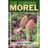 Curious Morel