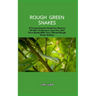 Rough Green Snakes: A Comprehensive Guide For Novices On How To Nurture, Care For, And Form Bonds With Your Vibrant Rough Green Snakes