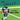 Go Eagles Rally Book
