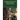 The Apparel and Uniform of the Order of Saint Lazarus throughout the ages