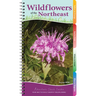 Wildflowers of the Northeast: Your Way to Easily Identify Wildflowers