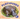 Platypuses