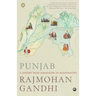 Punjab: A History from Aurangzeb to Mountbatten