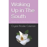Waking up in the South: Manifest Your Life. Rewire Your Old Beliefs