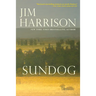 Sundog