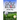 The Golf Rules - Stroke Play: Learn the Rules of Golf by Watching Others Break Them