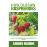 How To Grow Raspberries: Everything You Need to Know to Successfully Grow Your Own Raspberries: From Seedling to Harvest