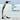 The Lives of Penguins