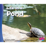 Life in a Pond