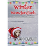Winter Wonderdach