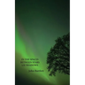 In the Spaces Between Stars Lie Shadows