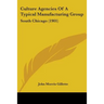 Culture Agencies Of A Typical Manufacturing Group: South Chicago (1901)