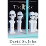 The Face: A Novella in Verse