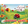 Ladybug Land