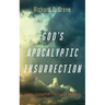 God's Apocalyptic Insurrection: A Post-Evangelical Theology of Salvation