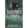 Shadowed Forest: A Historical Fantasy Series