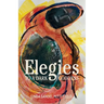 Elegies to a Dark Goddess: A Compact Poetic Memoir of Creativity and the Power of the Divine Feminine