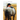 Hiding Behind My Horses