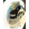 Mythic Texture: Black Fantasy Art Book