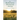 The Biodynamic Movement in Britain: A History of the First 100 Years