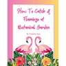 How To Catch A Flamingo at Botanical Garden
