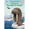 Where Is the North Pole?