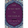 The Bastard of Istanbul
