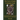 The Tarot of Bones Companion Book