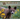 Wildlife Through the Lens: Animal Stories from Montana and the Rocky Mountains