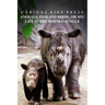 Animals, Fish and Birds, Oh My! Life In The Borneo Jungle - Curious Kids Press: Kids book about animals and wildlife, Children's books 4-6