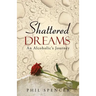 Shattered Dreams: An Alcoholic's Journey