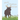 Mark the Manitoba Moose