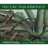 Here Is the Tropical Rain Forest