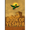 Book of Yeshua: Chronicle of Our Spirit, Vol iii