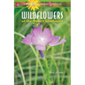 Wildflowers of the Desert Southwest