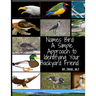 Names Bird: A Simple Approach to Identifying Your Backyard Friend