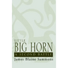 Little Big Horn: A Second Battle