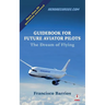 Guidebook For Future Aviator Pilots: The Dream Of Flying