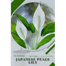 Japanese Peace Lily: Plant Guide