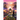 The Well-Broken Promise