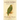 Flaubert's Parrot