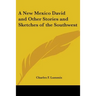 A New Mexico David and Other Stories and Sketches of the Southwest