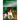 Merlyn's Memoirs: English Springer Spaniel Extraordinaire