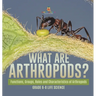 What are Arthropods? Functions, Groups, Roles and Characteristics of Arthropods Grade 6-8 Life Science